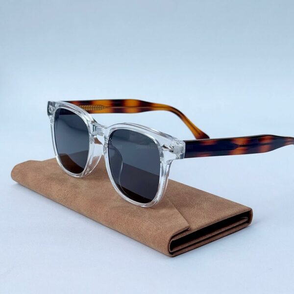 Transparent Tortoise Wayfarer Sunglasses