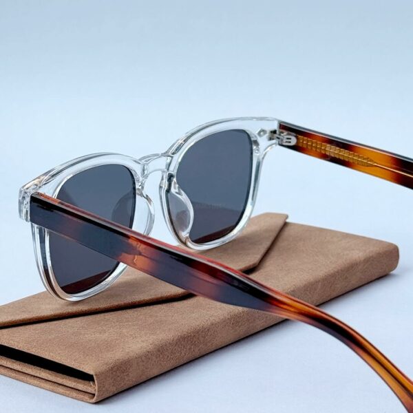 Transparent Tortoise Wayfarer Sunglasses - Image 3